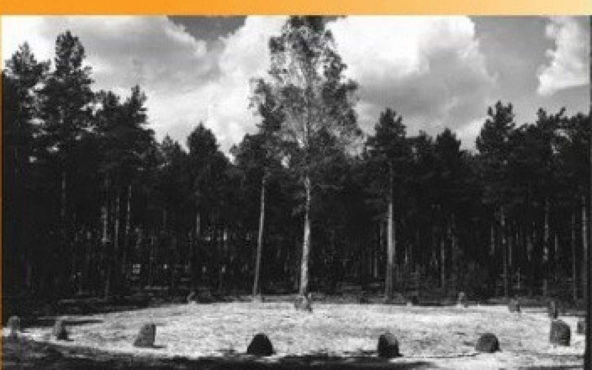 Recenzja monografii „Plemienny świat Germanów” M. Olędzkiego